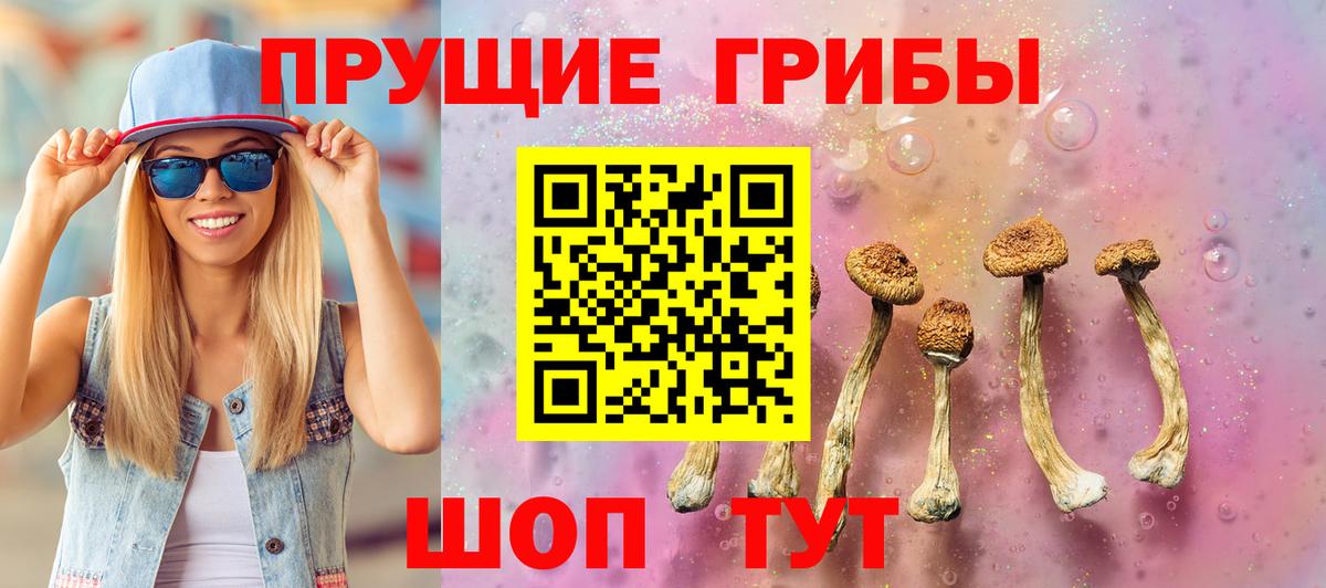 Галлюциногенные грибы Cubensis Сарапул