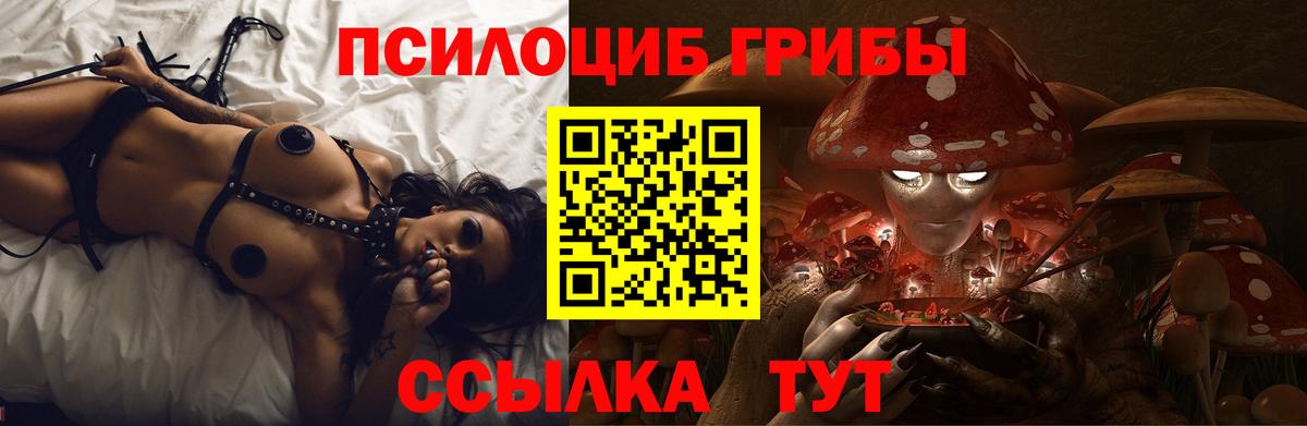 наркотики  Псилоцибиновые грибы ЛСД  Галлюциногенные грибы Psilocybine cubensis  Вход с VPN  Сарапул 